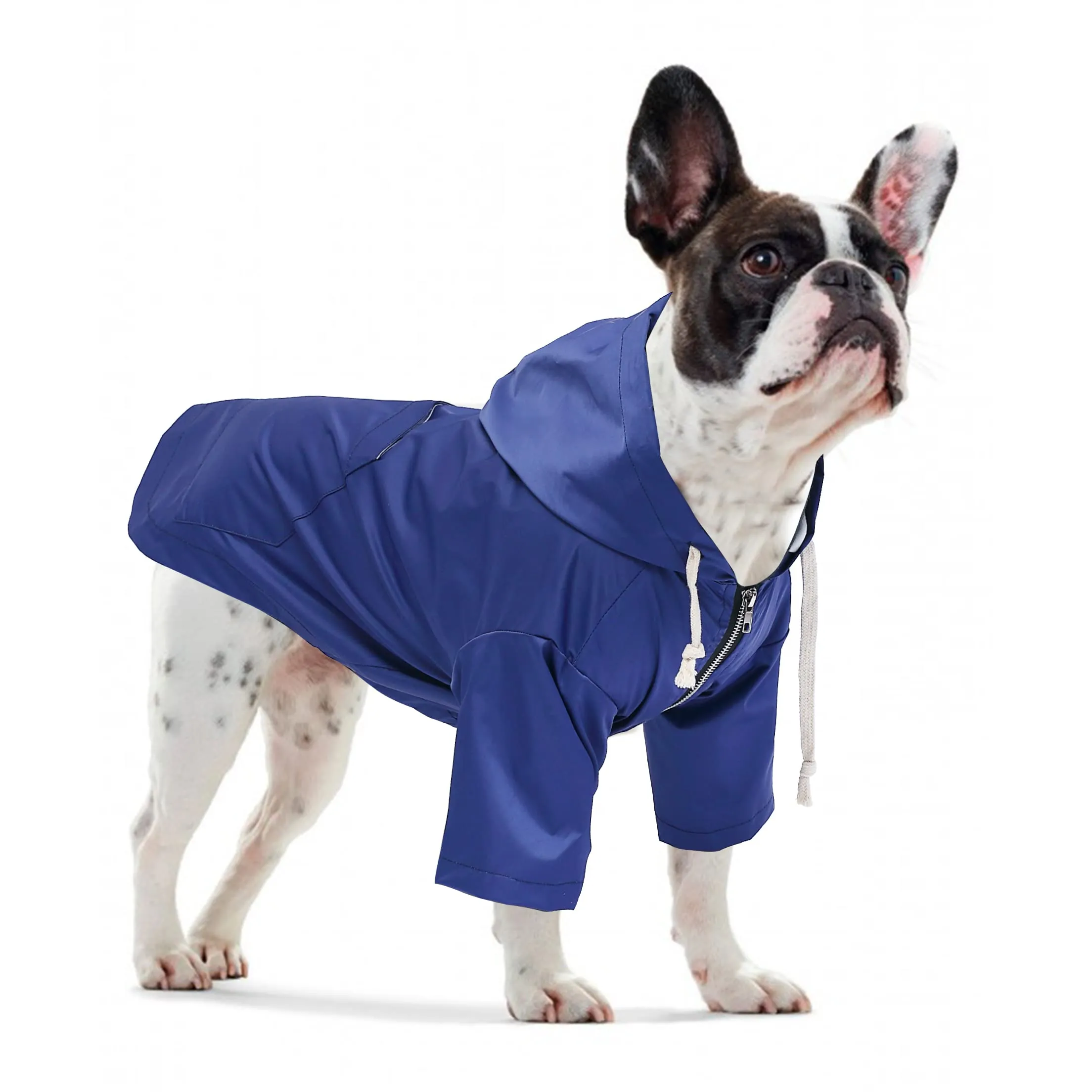 Pethiy - Stile elegante Impermeabile per Cani con cerniera e cappuccio,tasche,leggero poncho con Coulisse e con zampe-Blu-XL - immagine 2