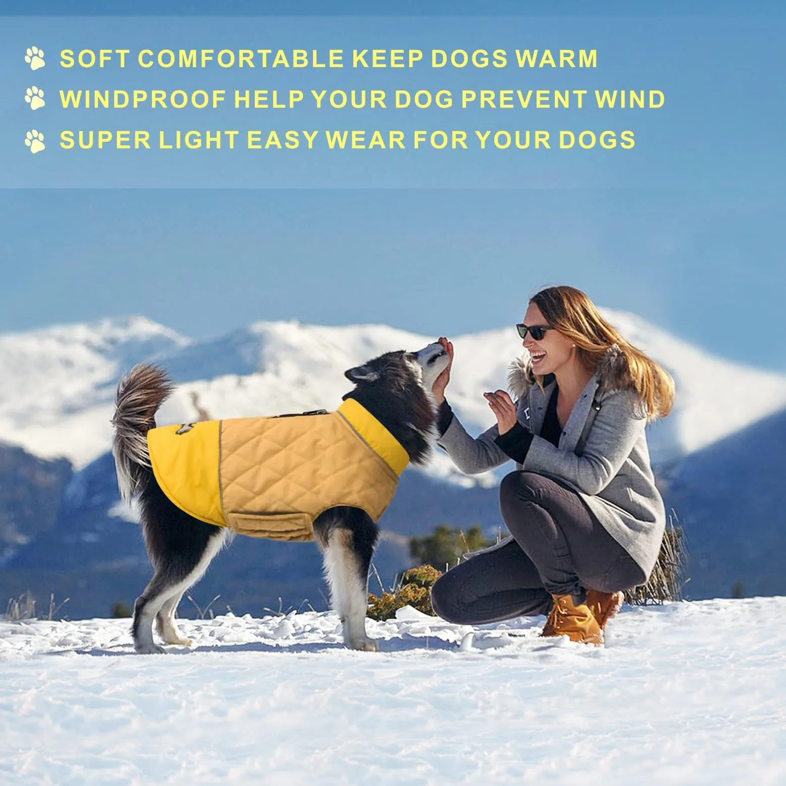 Idepet Cappotto per cani antivento Giacca invernale calda, Tuta da neve anti-neve Abbigliamento per cani per cani di taglia piccola e media con foro per imbracatura Blu Rosa Grigio - immagine 7