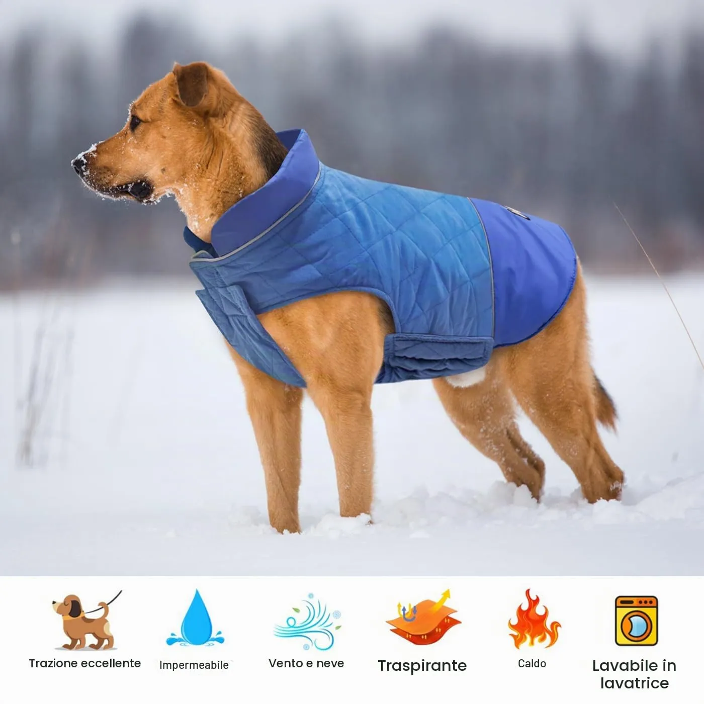 Idepet Cappotto per cani antivento Giacca invernale calda, Tuta da neve anti-neve Abbigliamento per cani per cani di taglia piccola e media con foro per imbracatura Blu Rosa Grigio - immagine 3