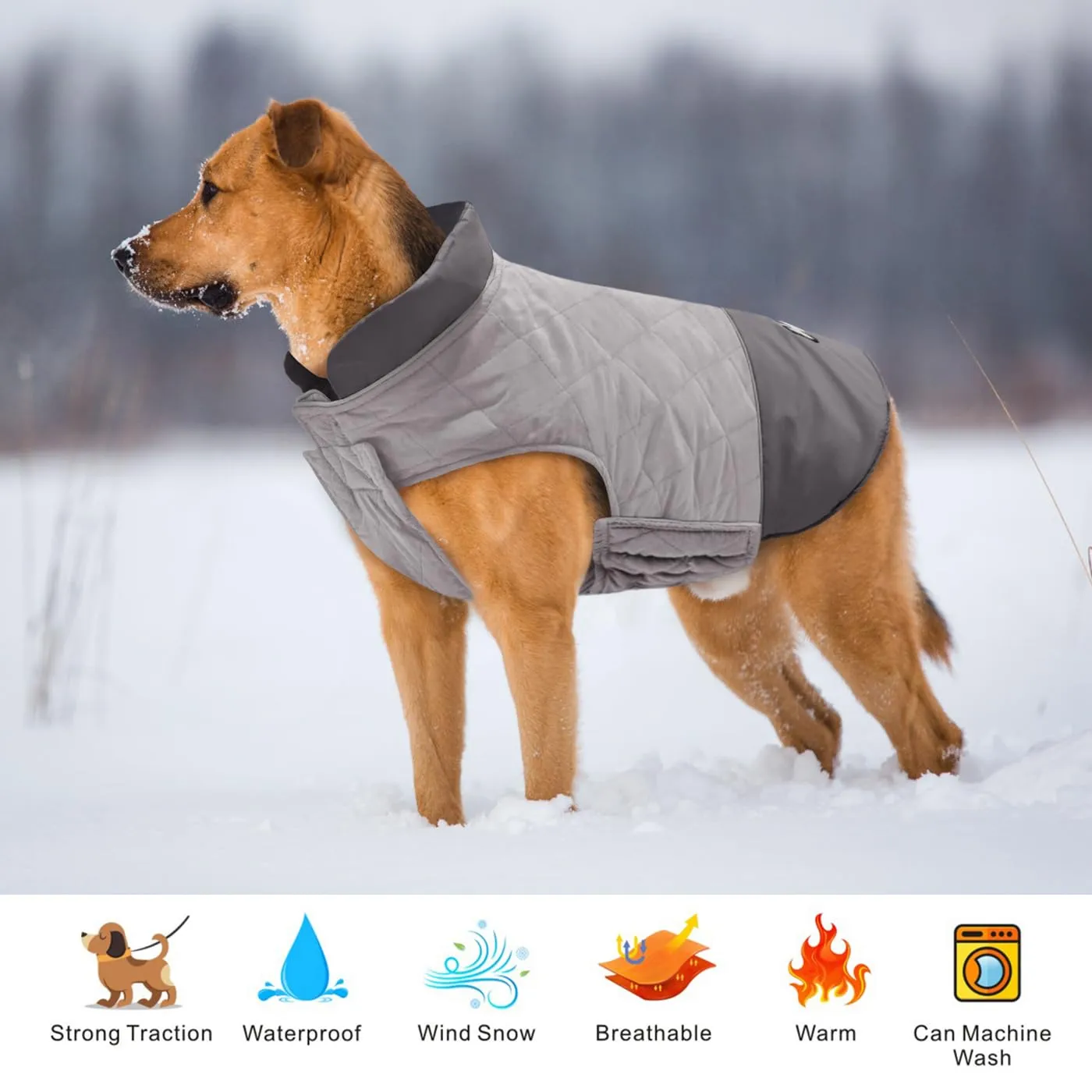 Idepet Cappotto per cani antivento Giacca invernale calda, Tuta da neve anti-neve Abbigliamento per cani per cani di taglia piccola e media con foro per imbracatura Blu Rosa Grigio - immagine 3