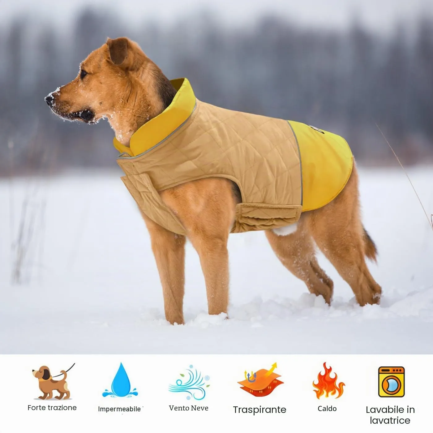 Idepet Cappotto per cani antivento Giacca invernale calda, Tuta da neve anti-neve Abbigliamento per cani per cani di taglia piccola e media con foro per imbracatura Blu Rosa Grigio - immagine 3