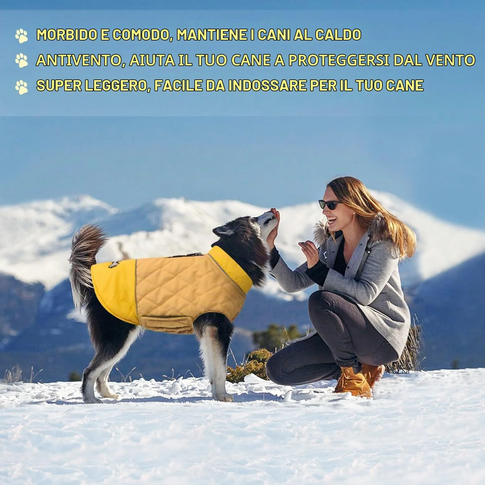 Idepet Cappotto per cani antivento Giacca invernale calda, Tuta da neve anti-neve Abbigliamento per cani per cani di taglia piccola e media con foro per imbracatura Blu Rosa Grigio - immagine 7