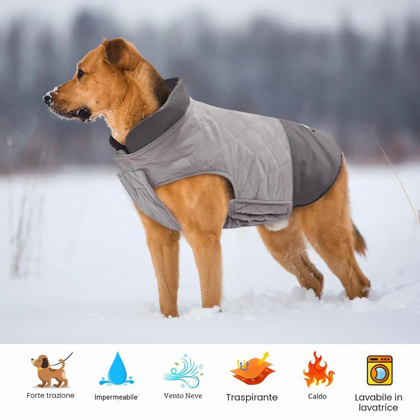 Idepet Cappotto per cani antivento Giacca invernale calda, Tuta da neve anti-neve Abbigliamento per cani per cani di taglia piccola e media con foro per imbracatura Blu Rosa Grigio - immagine 3
