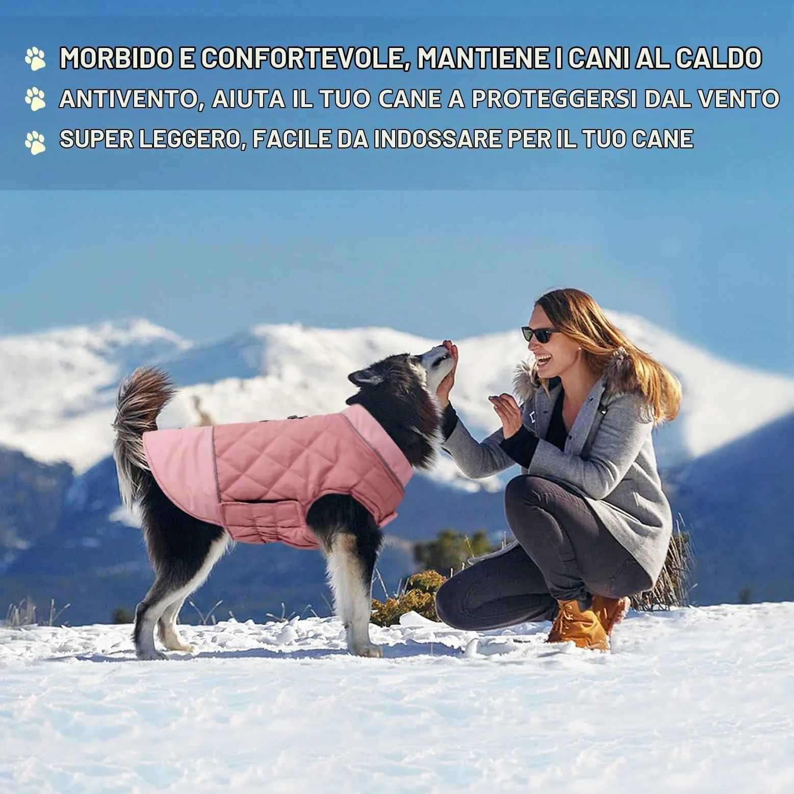 Idepet Cappotto per cani antivento Giacca invernale calda, Tuta da neve anti-neve Abbigliamento per cani per cani di taglia piccola e media con foro per imbracatura Blu Rosa Grigio - immagine 4