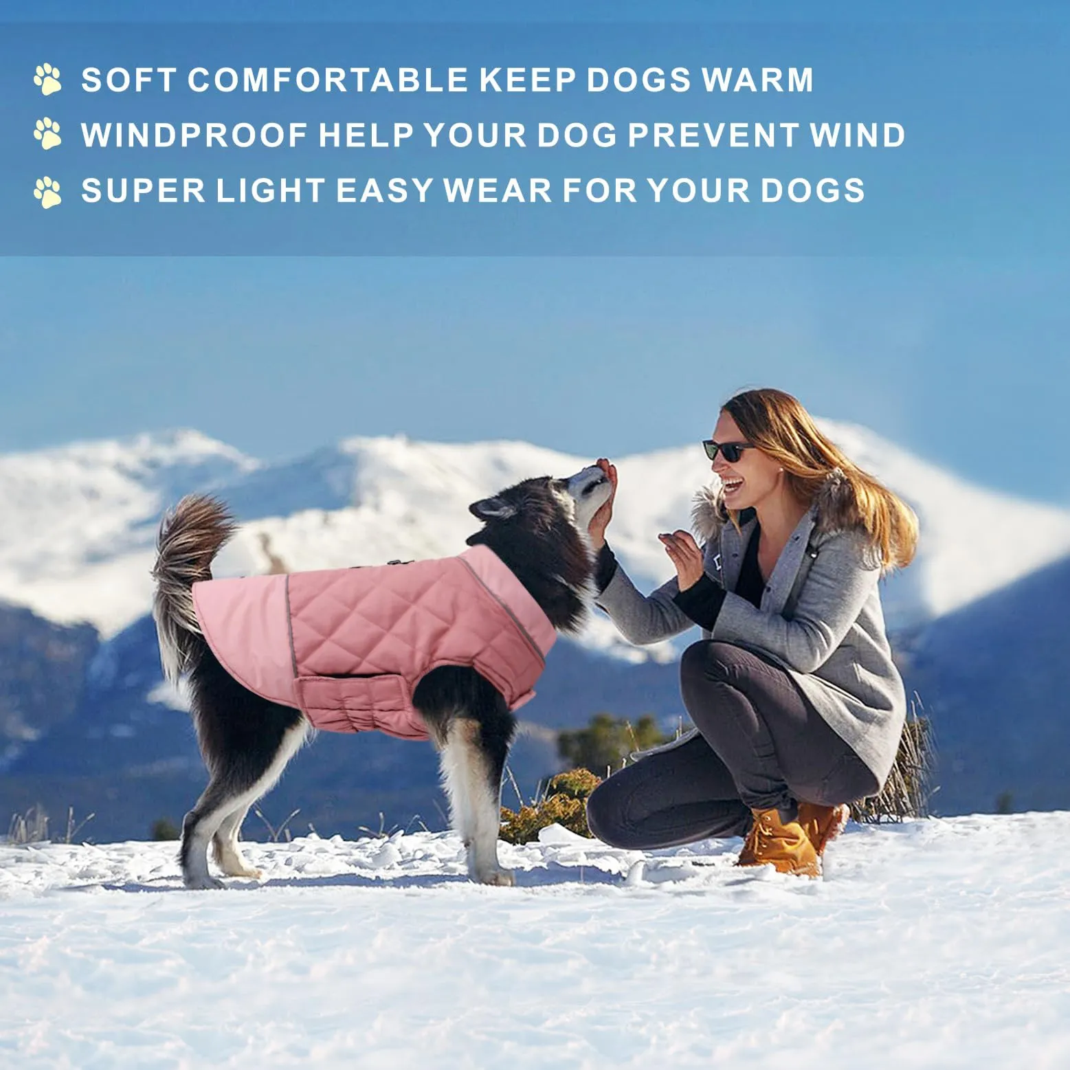Idepet Cappotto per cani antivento Giacca invernale calda, Tuta da neve anti-neve Abbigliamento per cani per cani di taglia piccola e media con foro per imbracatura Blu Rosa Grigio - immagine 4