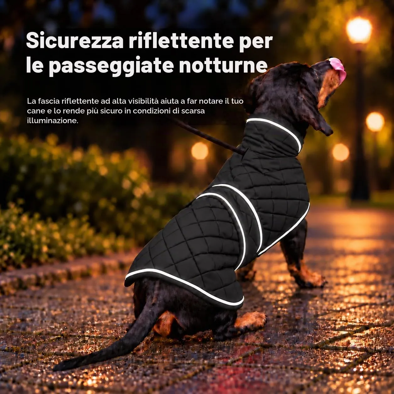 MOREZI Giacca invernale per cani con fodera imbottita in pile, cintura regolabile e finiture riflettenti, adatta per bassotti e segugi-Nero-M - immagine 4
