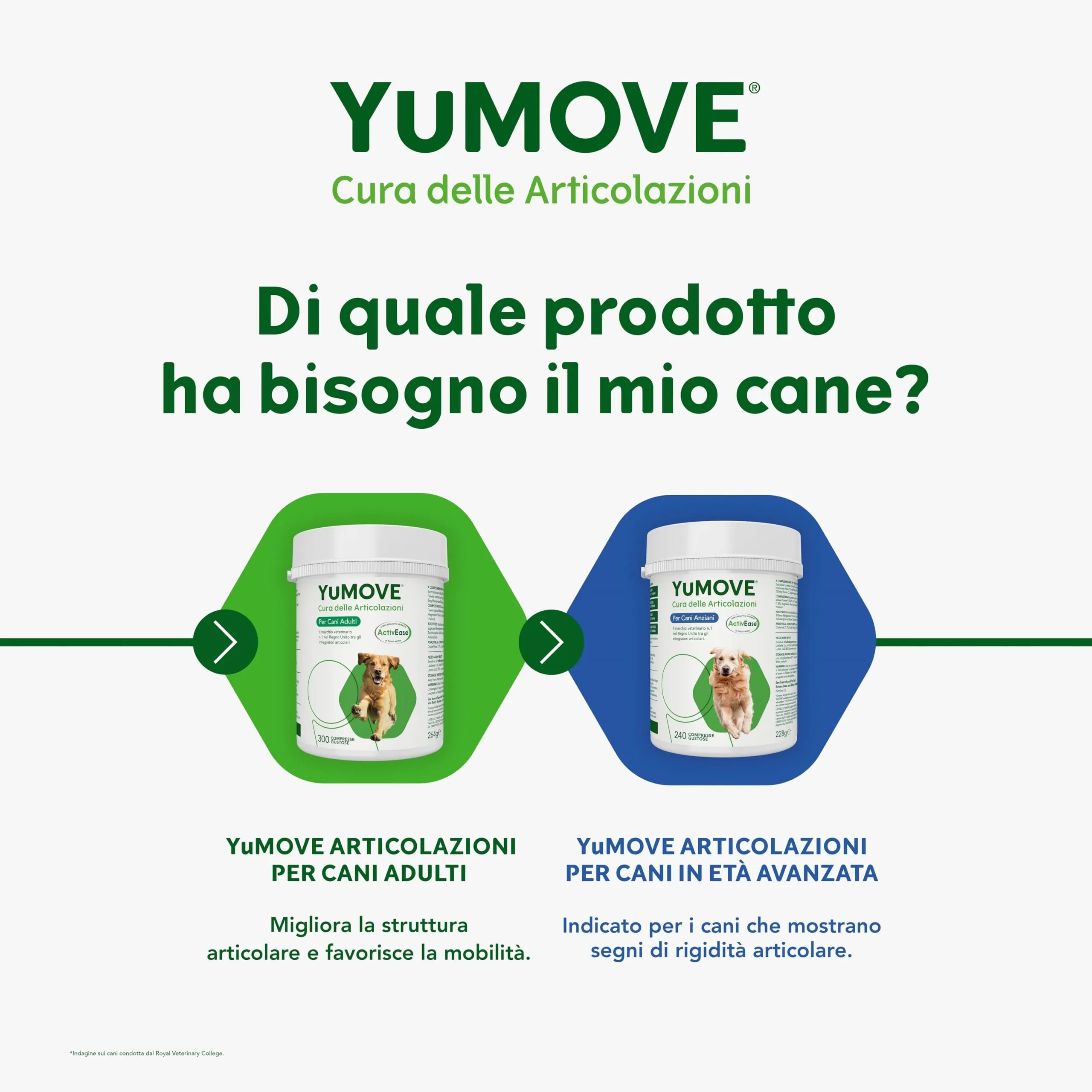 Yumove Integratore Articolazioni Cane Senior 8+ – 240 Compresse ActivEase - immagine 6