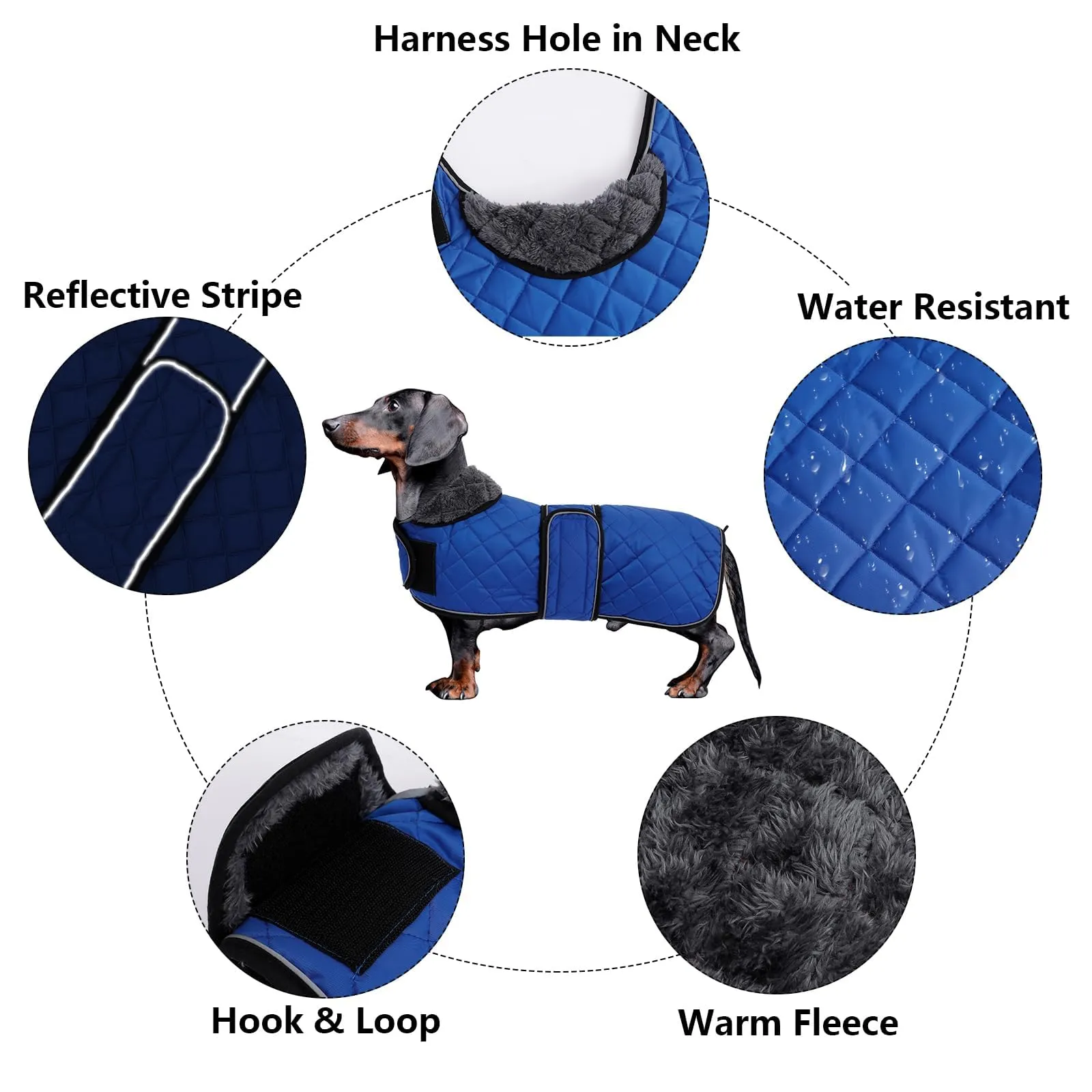 Giacca bassotto MOREZI, foderata in pile, con cintura regolabile e bande riflettenti, migliora la visibilità notturna ed è facile da indossare e da togliere-Blu navy-M - immagine 2