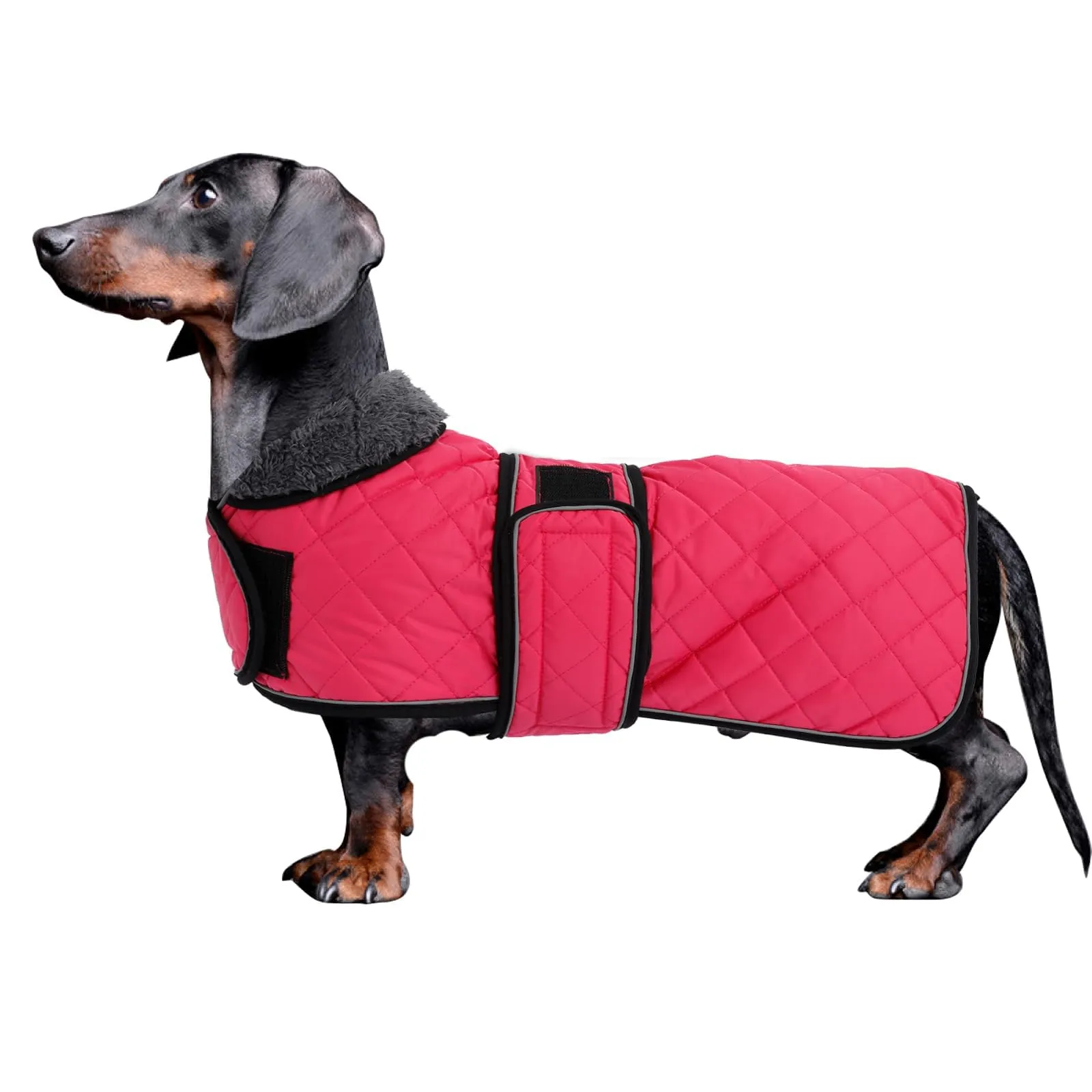 MOREZI Giacca invernale per cani con fodera imbottita in pile, cintura regolabile e finiture riflettenti, adatta per bassotti e segugi-Rosa-S - immagine 1