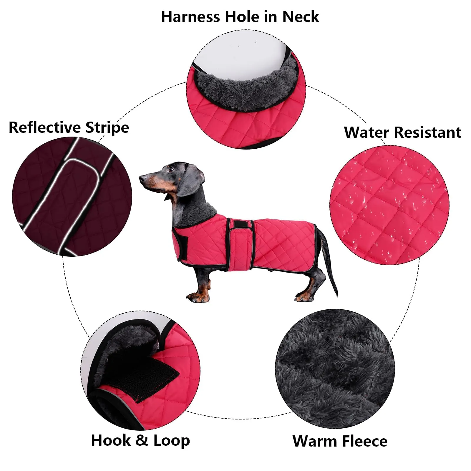 MOREZI Giacca invernale per cani con fodera imbottita in pile, cintura regolabile e finiture riflettenti, adatta per bassotti e segugi-Rosa-L - immagine 2