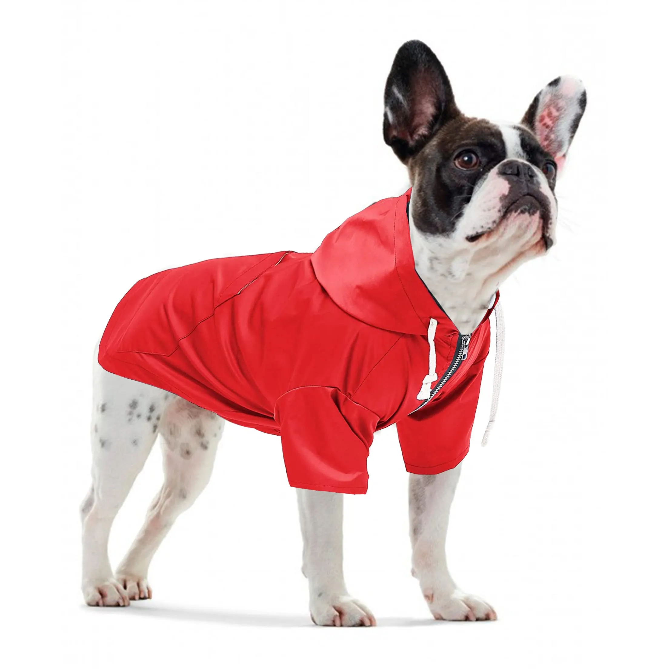 Pethiy - Stile elegante Impermeabile per Cani con cerniera e cappuccio,tasche,leggero poncho con Coulisse e con zampe-Rosso-XS - immagine 2