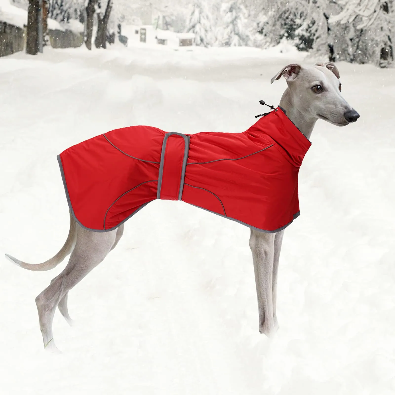 Geyecete Cappotto Invernale Cane Impermeabile per Levrieri, Pile Caldo Giubbotti per Whippet con Fasce Regolabili, Lurcher Pullover, Rosso, S - immagine 5