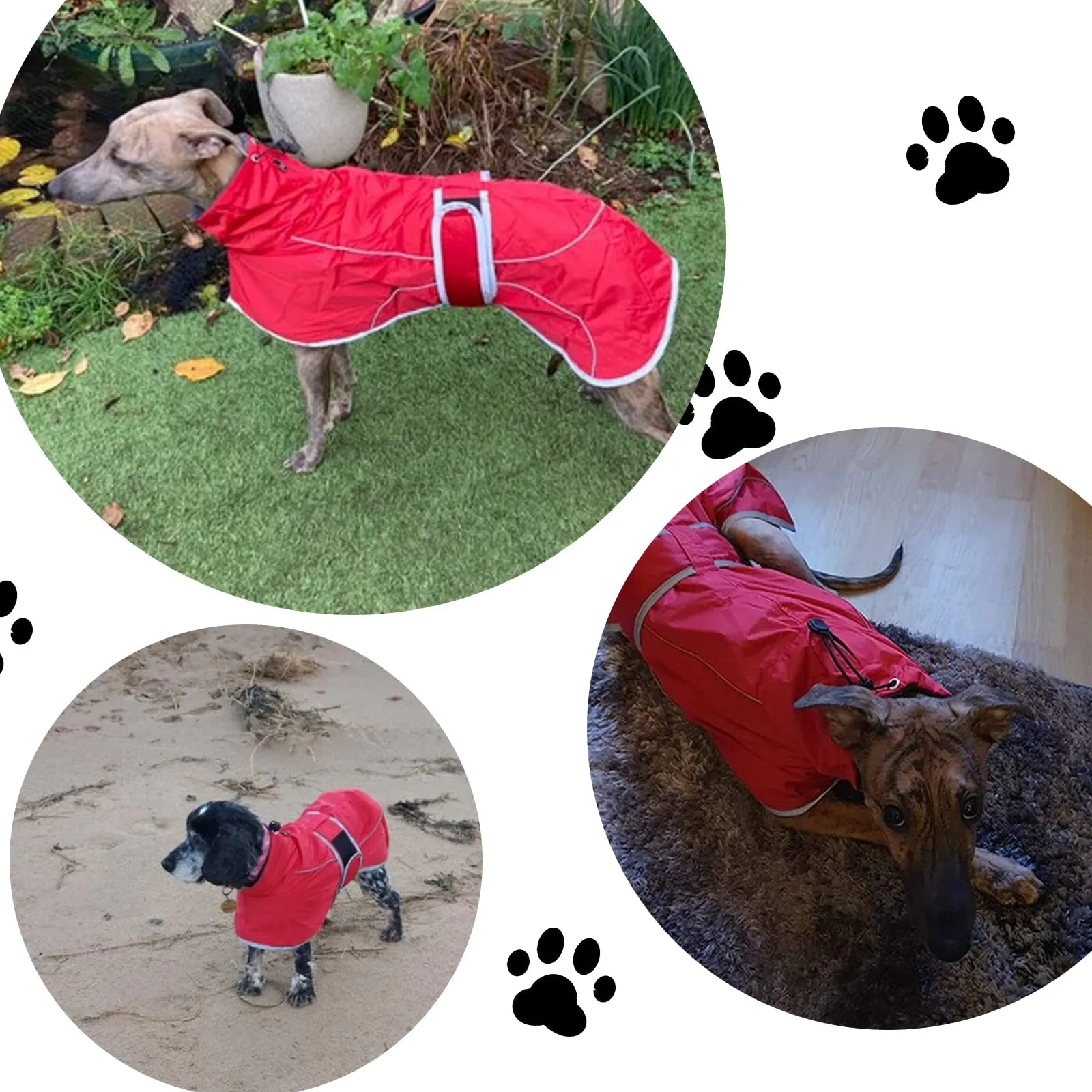 Geyecete - Cappotto impermeabile per levrieri in pile, giacca invernale, regolabile, riflettente, per cani e esterni, per cani di medie e grandi dimensioni, Galgo levriero Whippet Lurcher Saluki-Navy - immagine 7