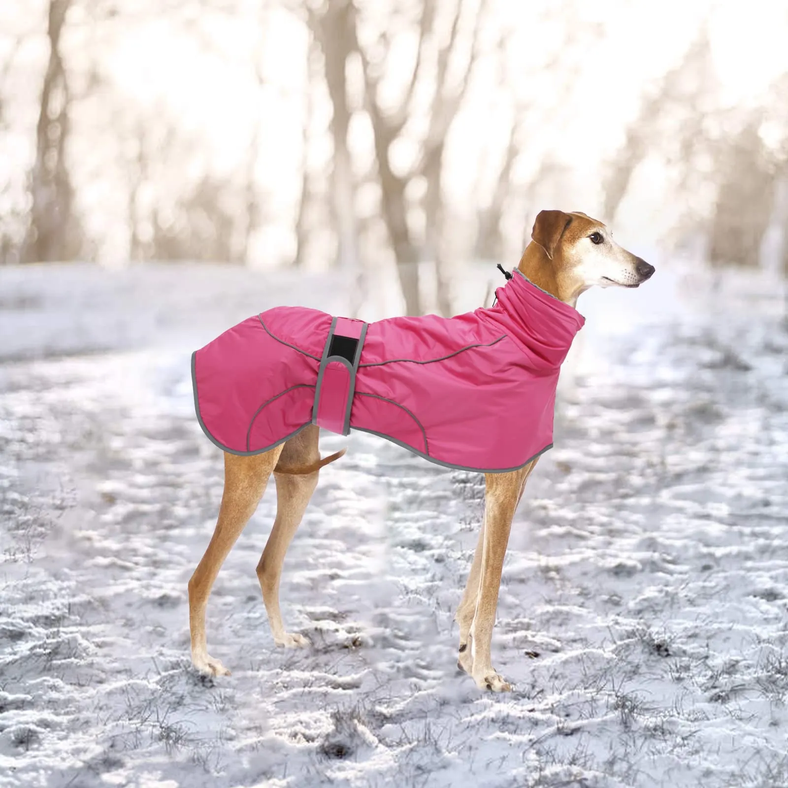 Geyecete Invernale Cappotto per Levrieri, Whippet e Lurcher - Pile Caldo Impermeabile con Fasce Regolabili - Rosa - M/L - immagine 7
