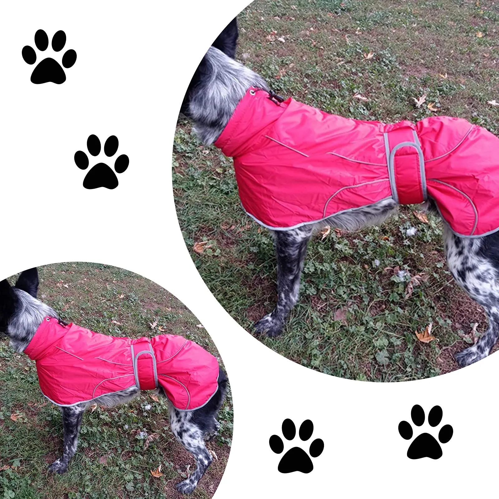 Geyecete Cappotto Invernale Impermeabile per Levrieri, Pile Caldo Giubbotto per Whippet Con Fasce Regolabili, Lurcher Pullover per Media Grande Sighthound - Rosa - XS - immagine 5
