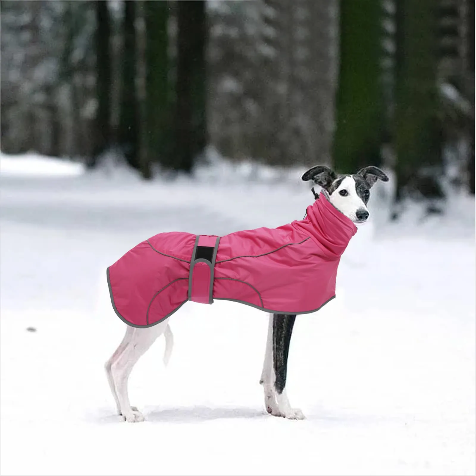 Geyecete Cappotto Invernale Impermeabile per Levrieri, Pile Caldo Giubbotto per Whippet Con Fasce Regolabili, Lurcher Pullover, per Media Grande Sighthound - Rosa - S - immagine 6