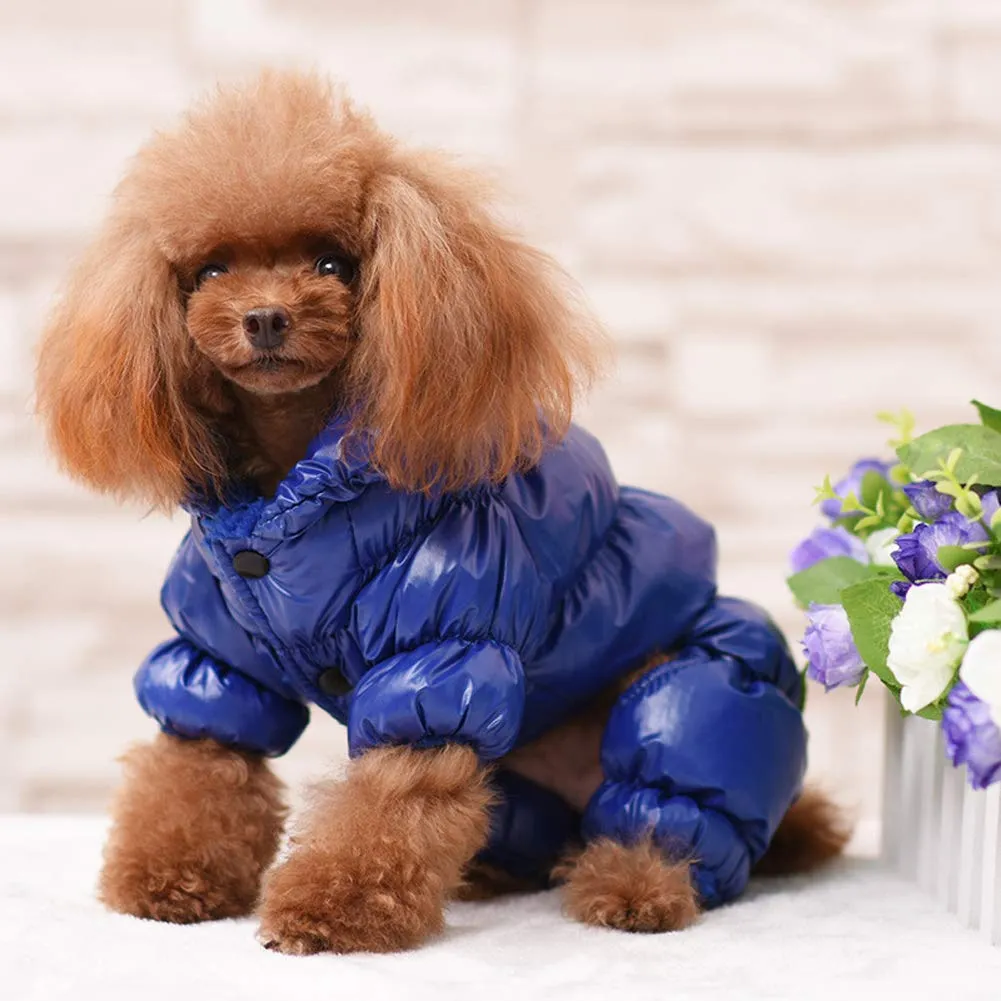 Cappotto per Cani,Piumino per Cani e Gatto di Piccola Taglia,Cani Gilet in Pile Polare,Giù Giacca per Animali Domestici,Giacche Invernali Calde Impermeabili per Teddy/Chihuahua/Pomerania Blu A XS - immagine 1