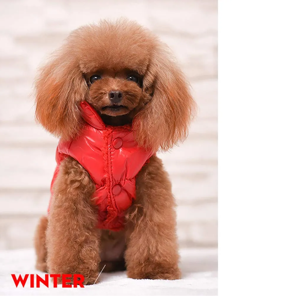 Cappotto per Cani,Piumino per Cani e Gatto di Piccola Taglia,Cani Gilet in Pile Polare,Giù Giacca per Animali Domestici,Giacche Invernali Calde Impermeabili per Teddy/Chihuahua/Pomerania Rosso B XL - immagine 3