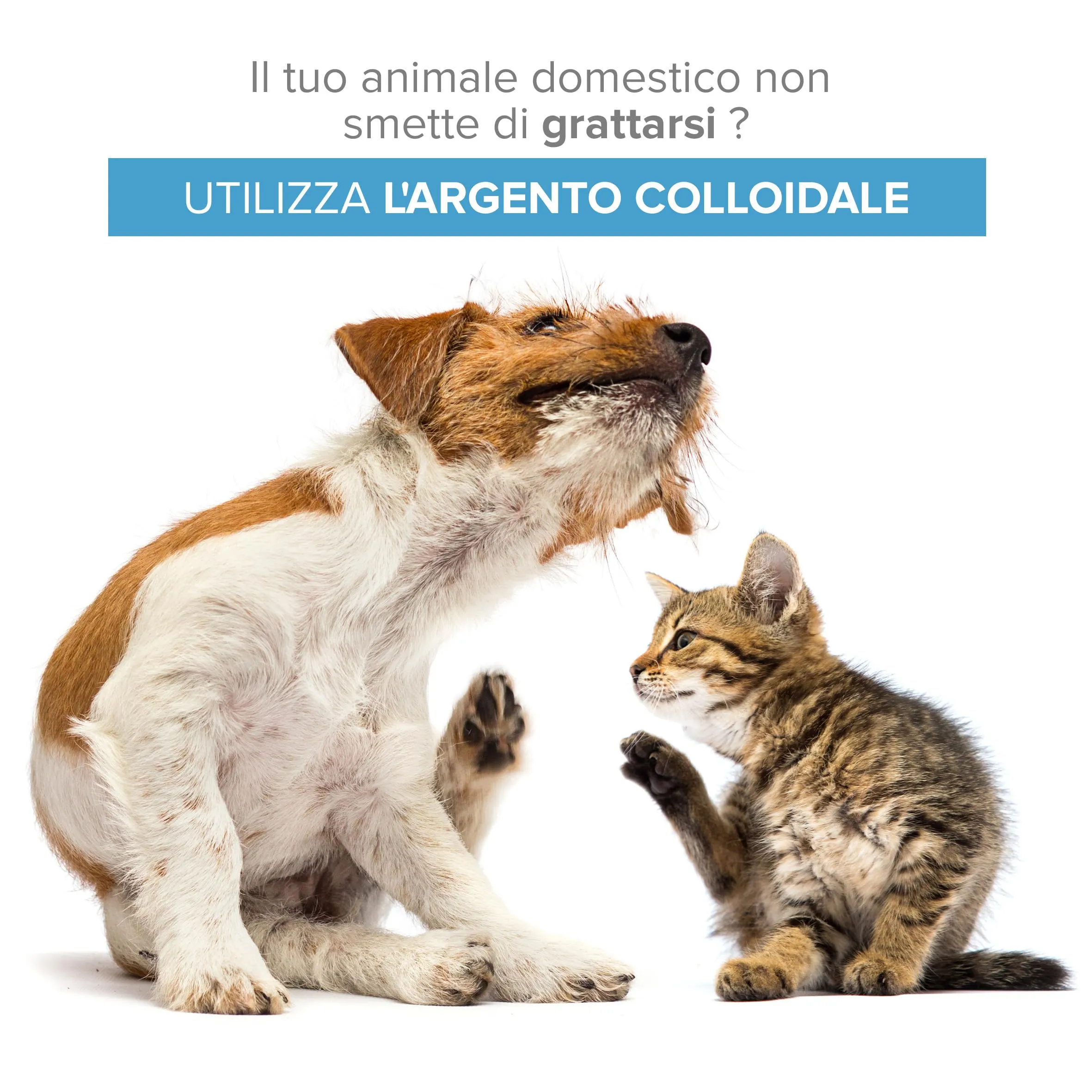 Argento Colloidale 100% Naturale per Animali (Cani, Gatti) Tutto in 1: Cicatrizzante | Disinfettante | Rimedi Antiprurito (Dermatiti, Acari) | Per Pelle, Occhi, Orecchie |Bottiglia & Spray da riempire - immagine 2