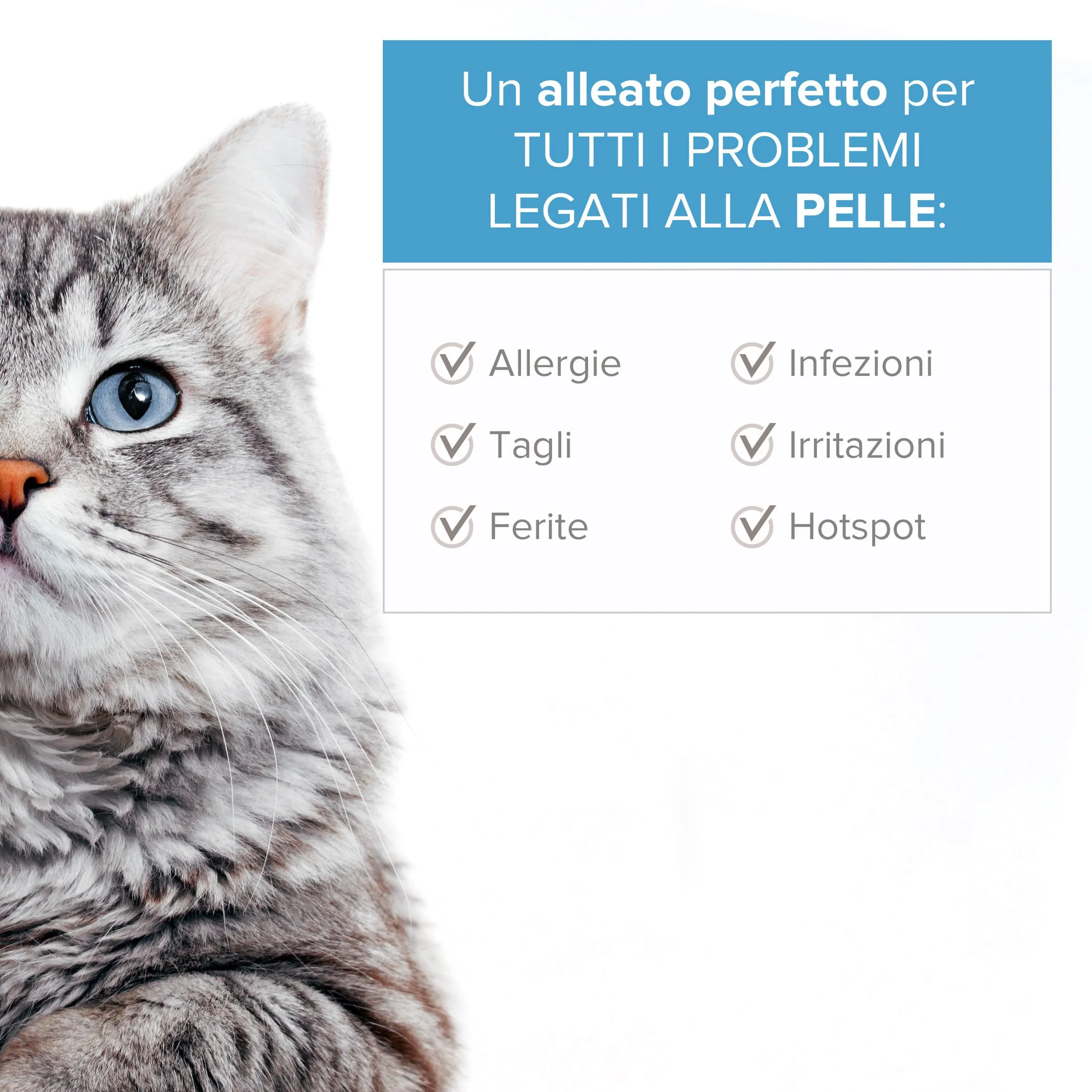 Argento Colloidale 100% Naturale per Animali (Cani, Gatti) Tutto in 1: Cicatrizzante | Disinfettante | Rimedi Antiprurito (Dermatiti, Acari) | Per Pelle, Occhi, Orecchie |Bottiglia & Spray da riempire - immagine 3