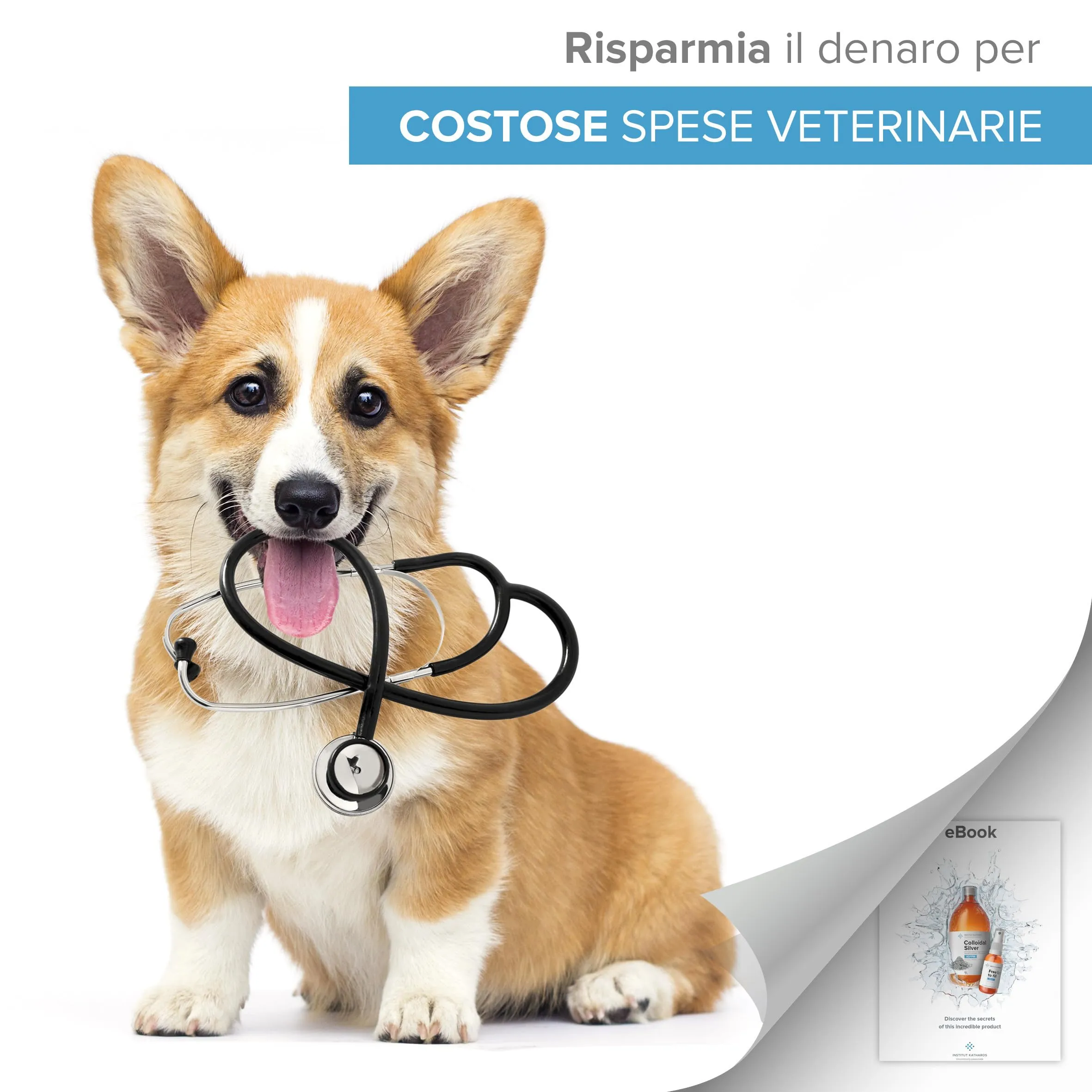 Argento Colloidale 100% Naturale per Animali (Cani, Gatti) Tutto in 1: Cicatrizzante | Disinfettante | Rimedi Antiprurito (Dermatiti, Acari) | Per Pelle, Occhi, Orecchie |Bottiglia & Spray da riempire - immagine 5