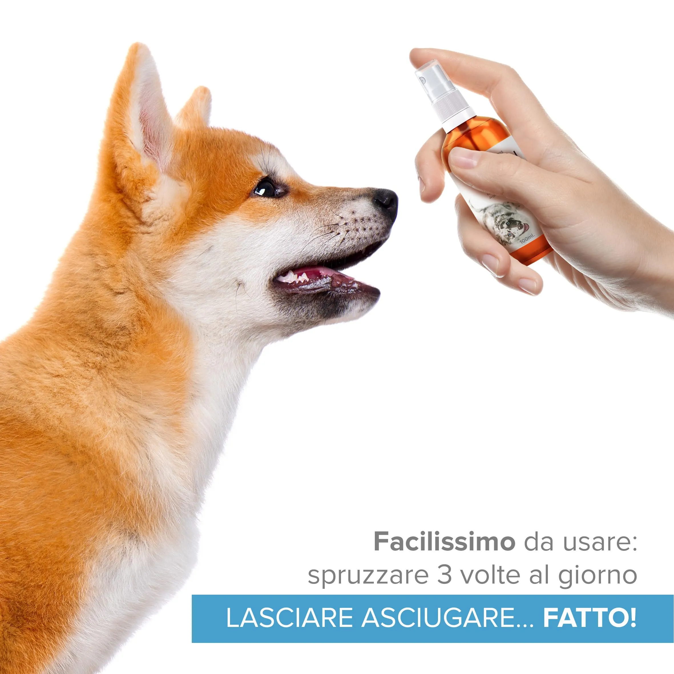 Argento Colloidale 100% Naturale per Animali (Cani, Gatti) Tutto in 1: Cicatrizzante | Disinfettante | Rimedi Antiprurito (Dermatiti, Acari) | Per Pelle, Occhi, Orecchie |Bottiglia & Spray da riempire - immagine 6