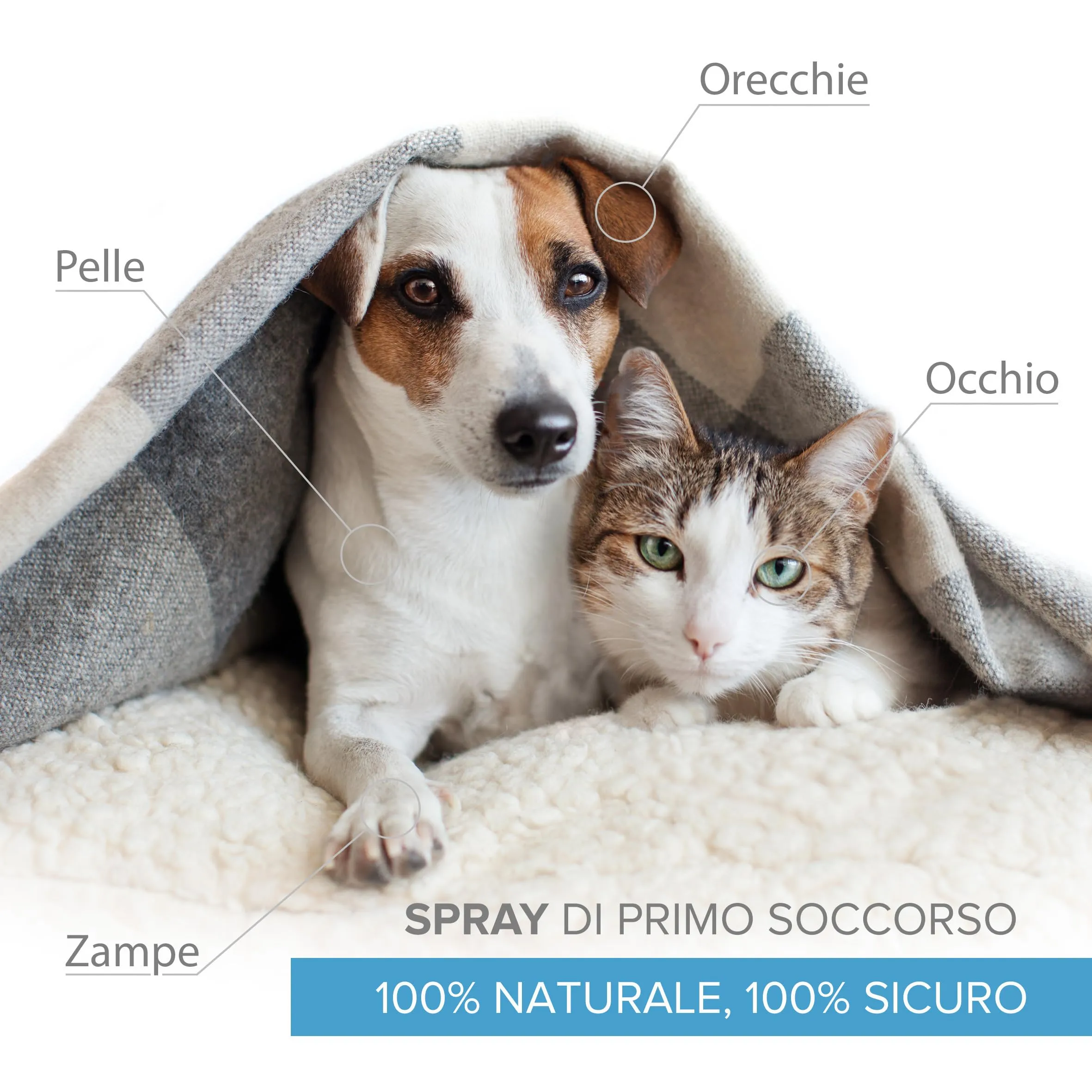 Argento Colloidale 100% Naturale per Animali (Cani, Gatti) Tutto in 1: Cicatrizzante | Disinfettante | Rimedi Antiprurito (Dermatiti, Acari) | Per Pelle, Occhi, Orecchie |Bottiglia & Spray da riempire - immagine 7