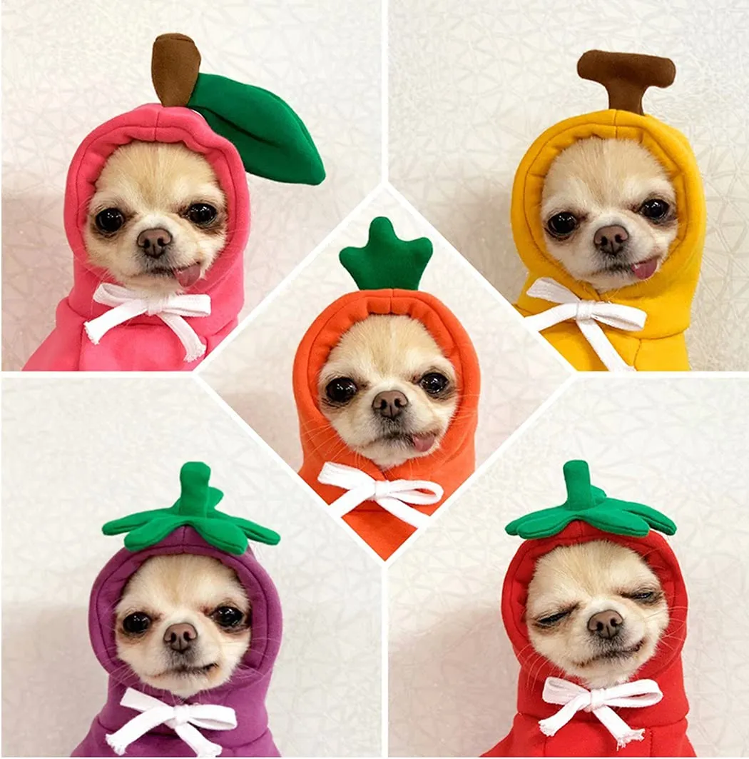 XIAOYU felpa con cappuccio per cuccioli di cane felpe con cappuccio per gatti vestiti per animali domestici felpa con frutta alla moda per cane gatto animali domestici di piccola taglia, banana, XXL - immagine 7