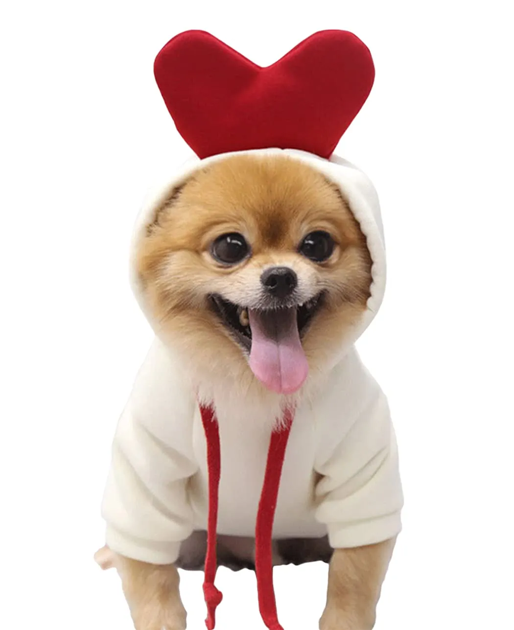XIAOYU felpa con cappuccio per cuccioli di cane felpe con cappuccio per gatti vestiti per animali domestici felpa con frutta alla moda per cane gatto animali domestici di piccola taglia, amore, M - immagine 1