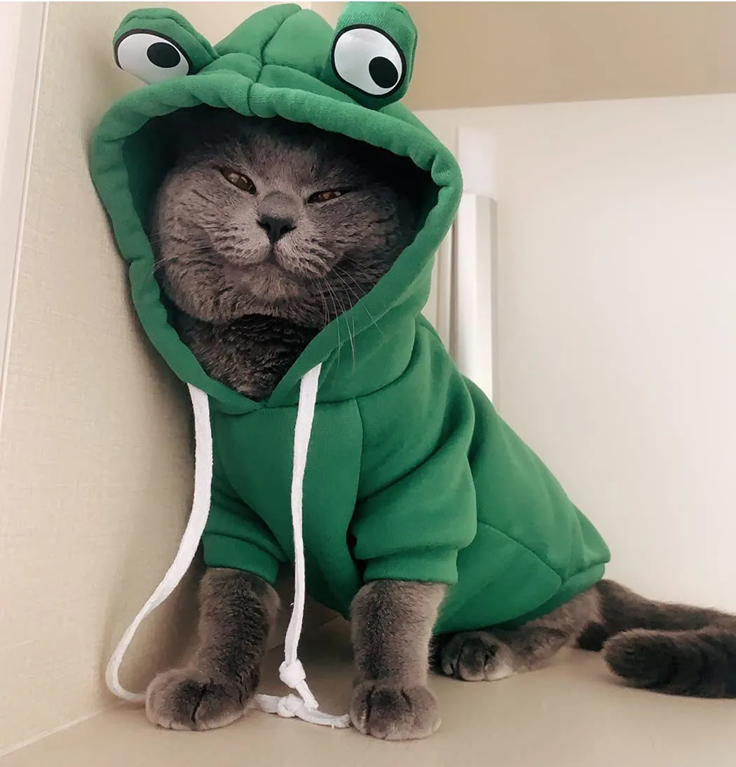 XIAOYU felpa con cappuccio per cuccioli di cane felpe con cappuccio per gatti vestiti per animali domestici felpa con frutta alla moda per cane gatto animali domestici di piccola taglia, ranocchio, XL - immagine 2
