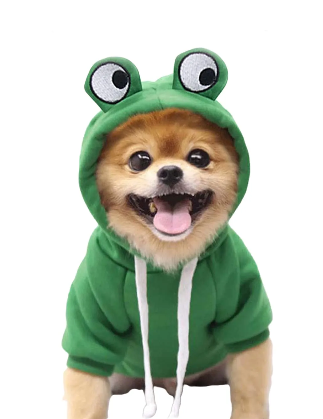 XIAOYU felpa con cappuccio per cuccioli di cane felpe con cappuccio per gatti vestiti per animali domestici felpa con frutta alla moda per cane gatto animali domestici di piccola taglia, ranocchio, M - immagine 1