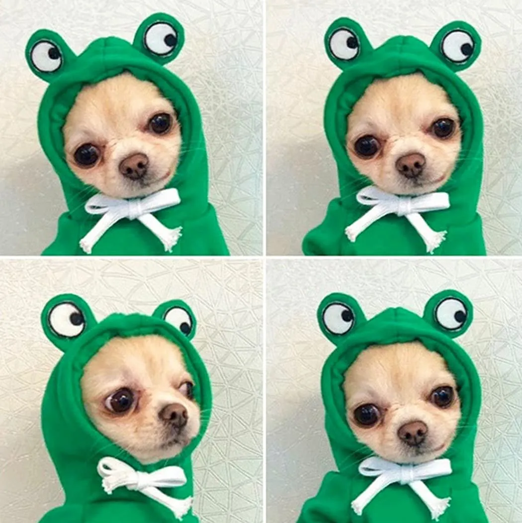 XIAOYU felpa con cappuccio per cuccioli di cane felpe con cappuccio per gatti vestiti per animali domestici felpa con frutta alla moda per cane gatto animali domestici di piccola taglia, ranocchio, M - immagine 7