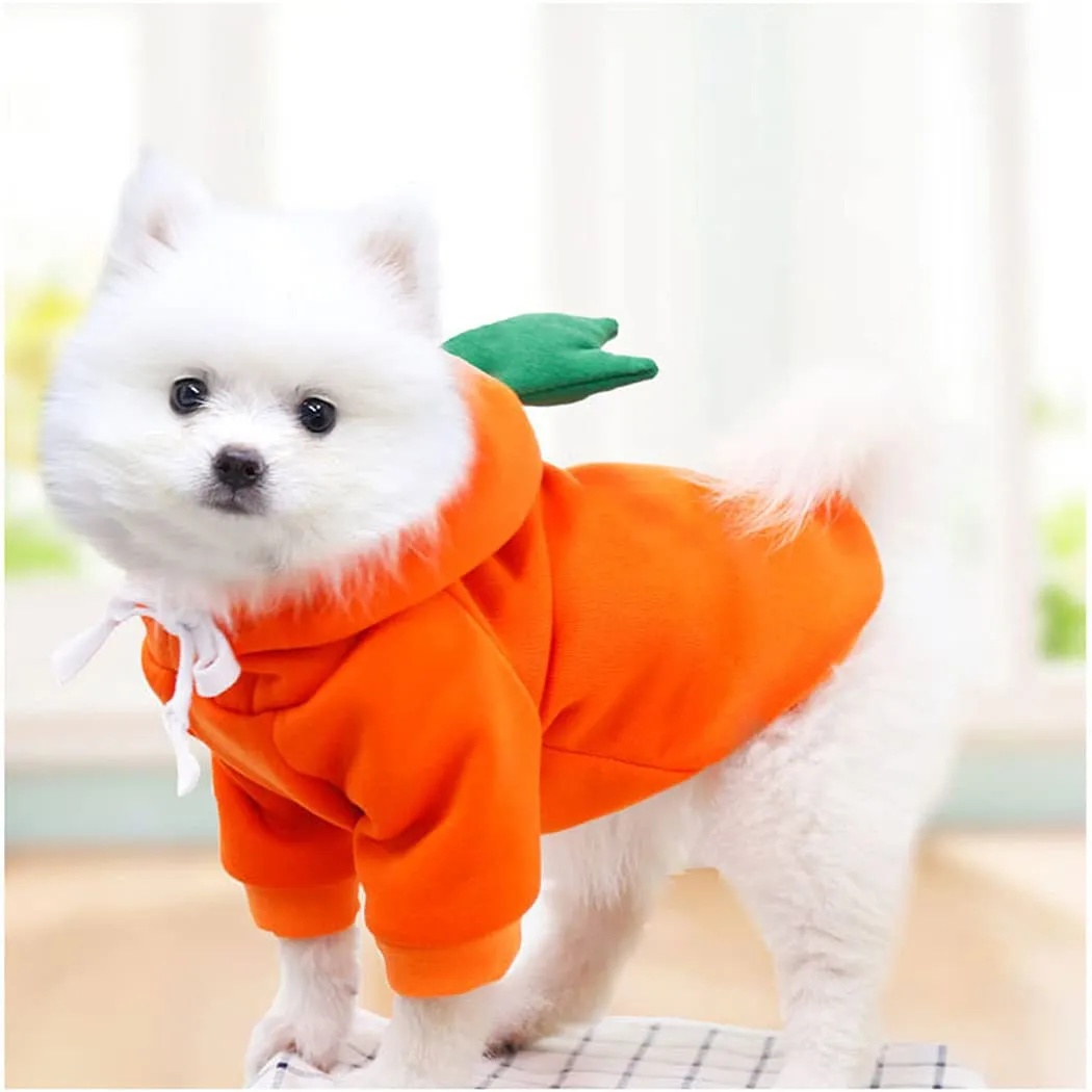 XIAOYU felpa con cappuccio per cuccioli di cane felpe con cappuccio per gatti vestiti per animali domestici felpa con frutta alla moda per cane gatto animali domestici di piccola taglia, carota, XL - immagine 2