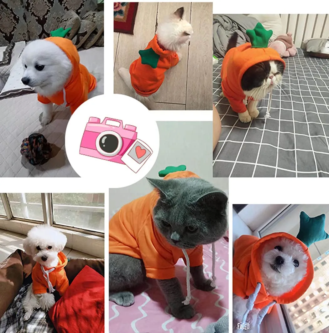 XIAOYU felpa con cappuccio per cuccioli di cane felpe con cappuccio per gatti vestiti per animali domestici felpa con frutta alla moda per cane gatto animali domestici di piccola taglia, carota, XL - immagine 7