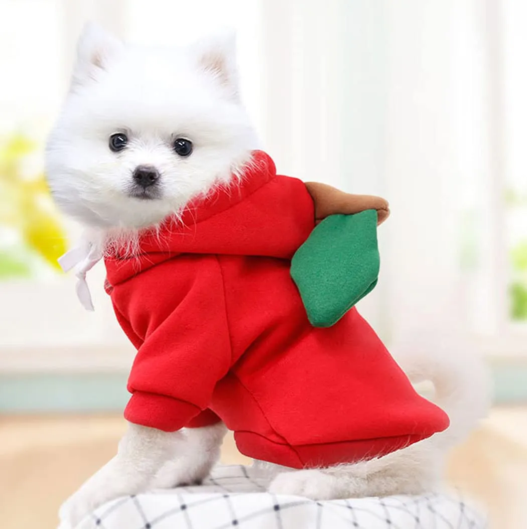XIAOYU felpa con cappuccio per cuccioli di cane felpe con cappuccio per gatti vestiti per animali domestici felpa con frutta alla moda per cane gatto animali domestici di piccola taglia, mela, L - immagine 2