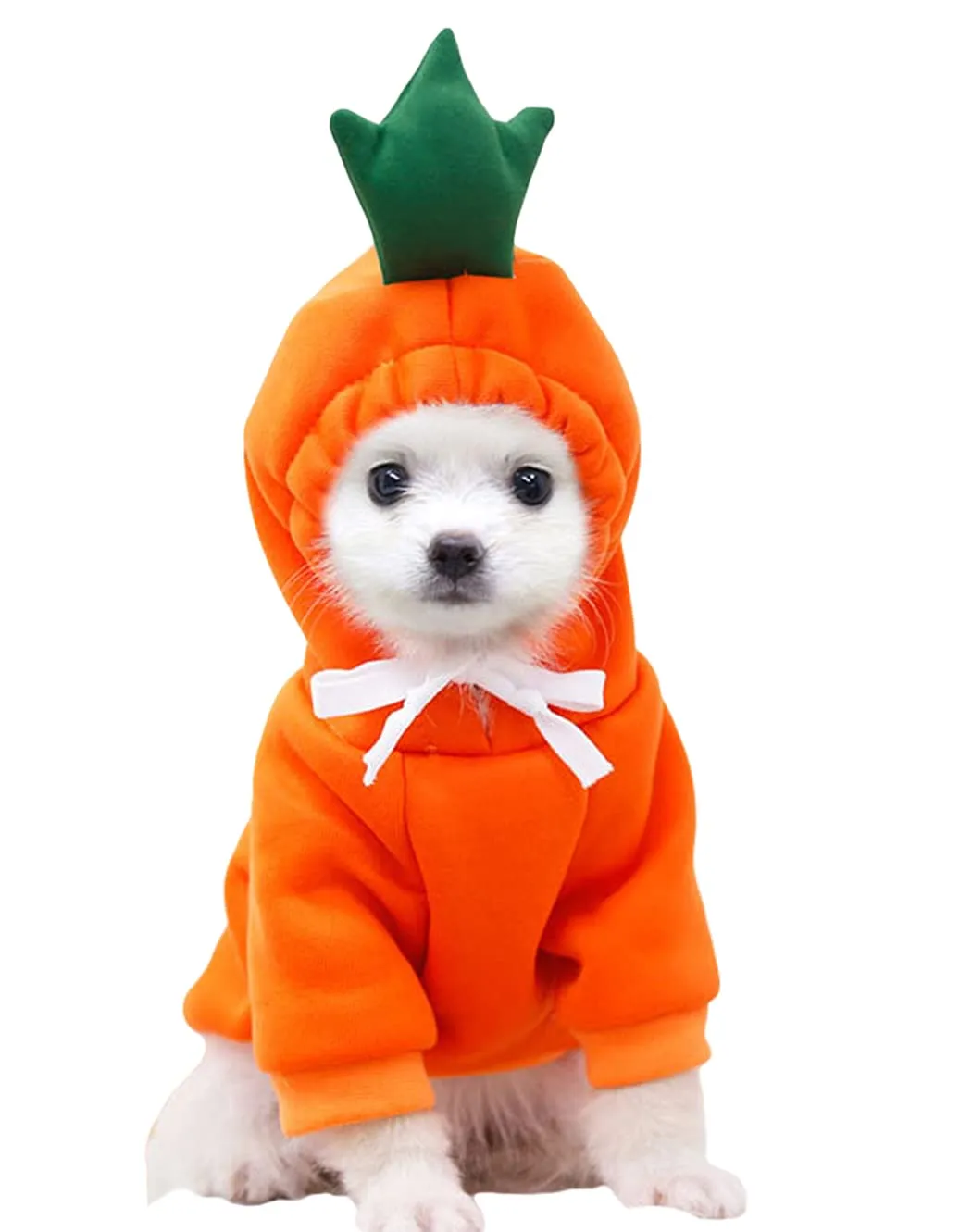 XIAOYU felpa con cappuccio per cuccioli di cane felpe con cappuccio per gatti vestiti per animali domestici felpa con frutta alla moda per cane gatto animali domestici di piccola taglia, carota, XXL - immagine 1