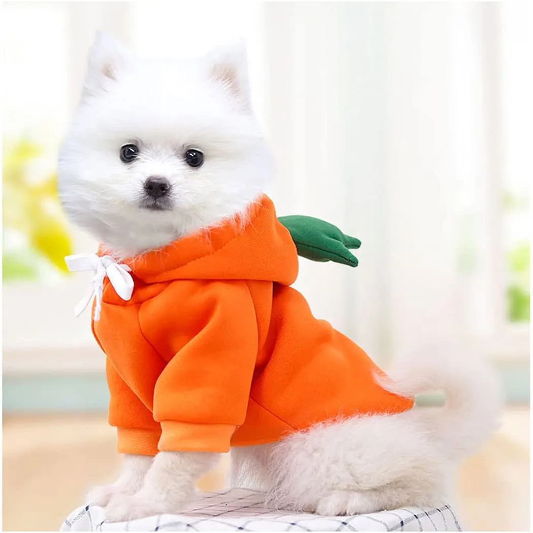 XIAOYU felpa con cappuccio per cuccioli di cane felpe con cappuccio per gatti vestiti per animali domestici felpa con frutta alla moda per cane gatto animali domestici di piccola taglia, carota, XXL - immagine 4