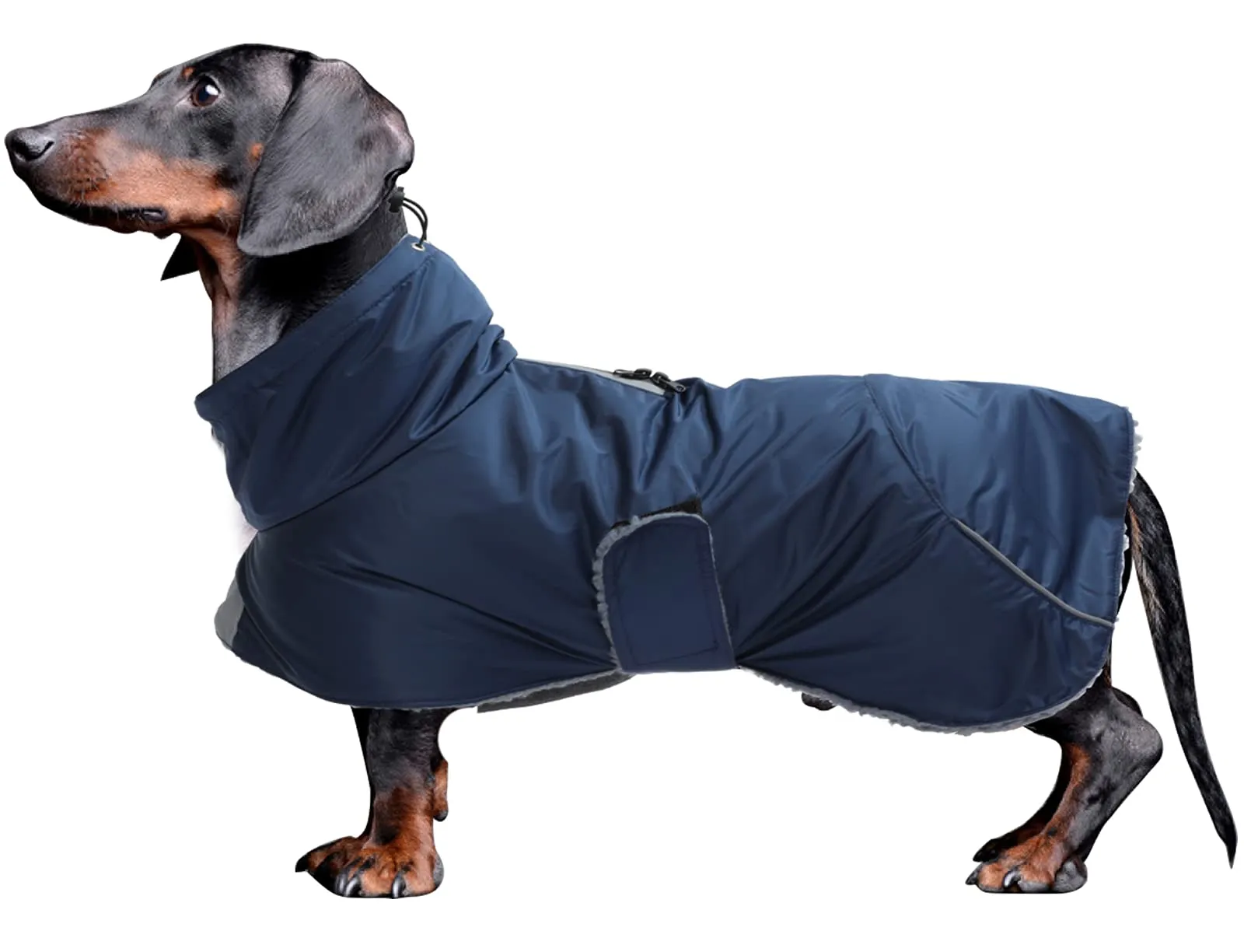 MOREZI Giacca Calda Per Cani Teckel, Abbigliamento Invernale Caldo Per Cani - immagine 1