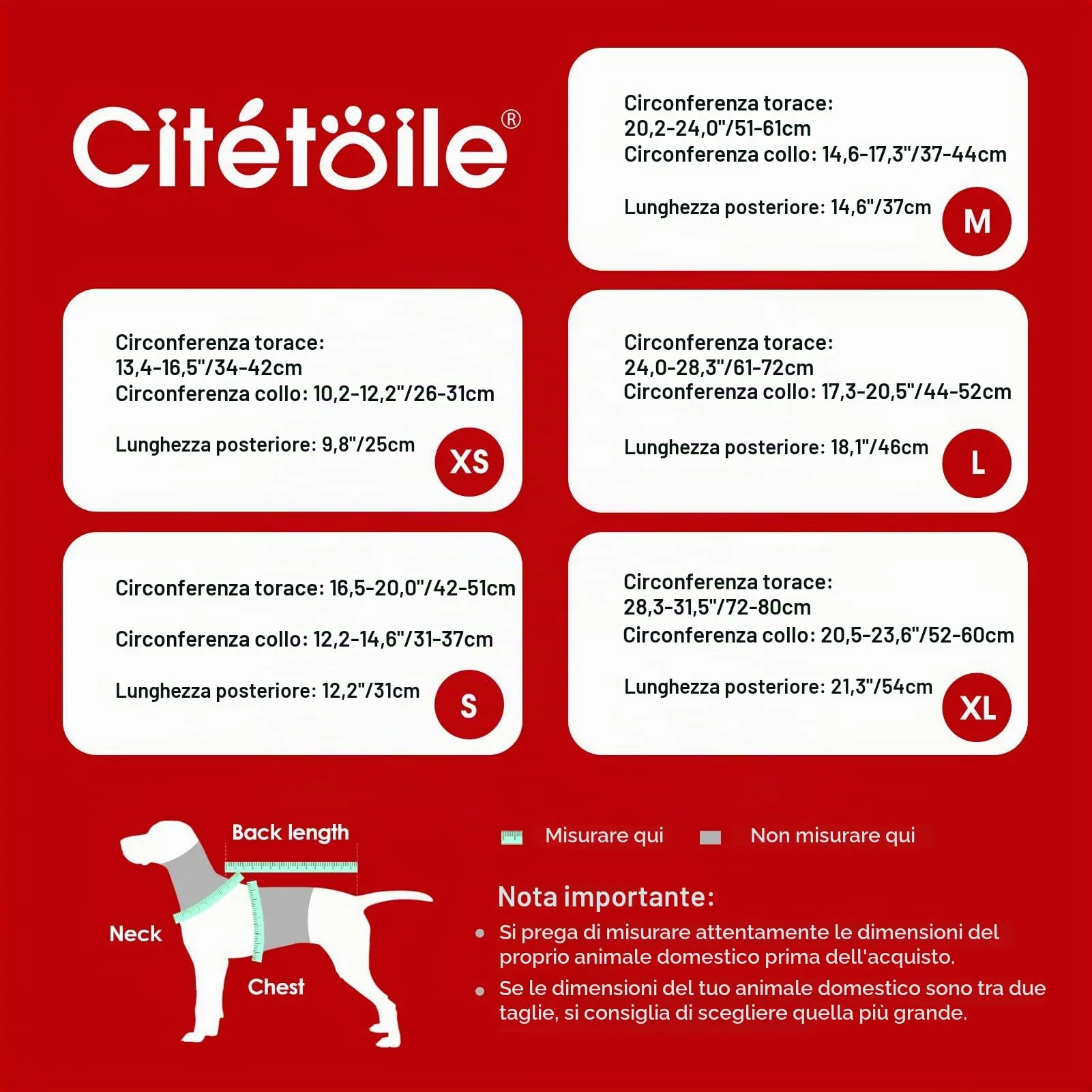 CITÉTOILE Cappotto Invernale per Cani in Lana Spessa Rosso XS - immagine 4