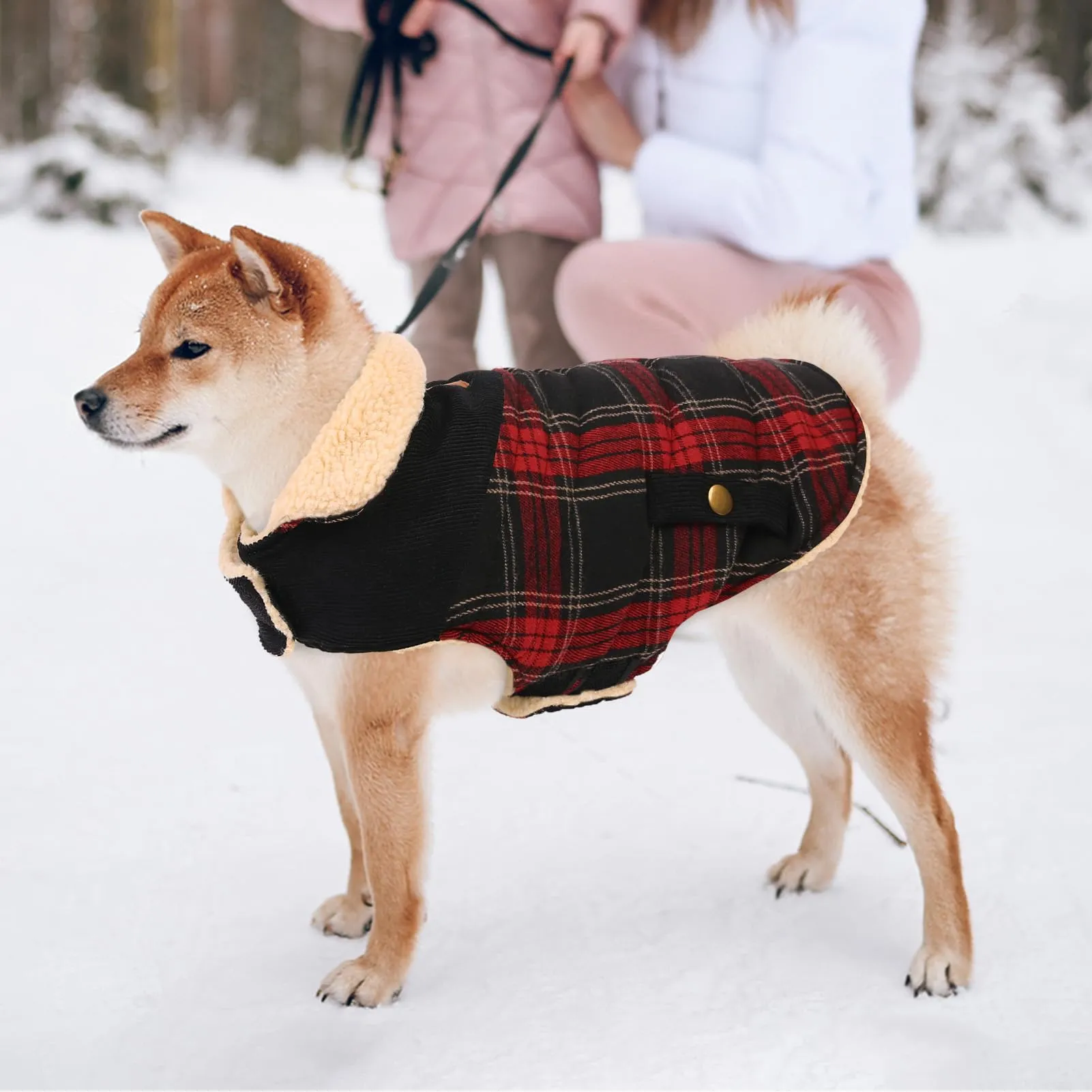CITÉTOILE Cappotto Invernale per Cani in Lana Spessa Rosso XS - immagine 6