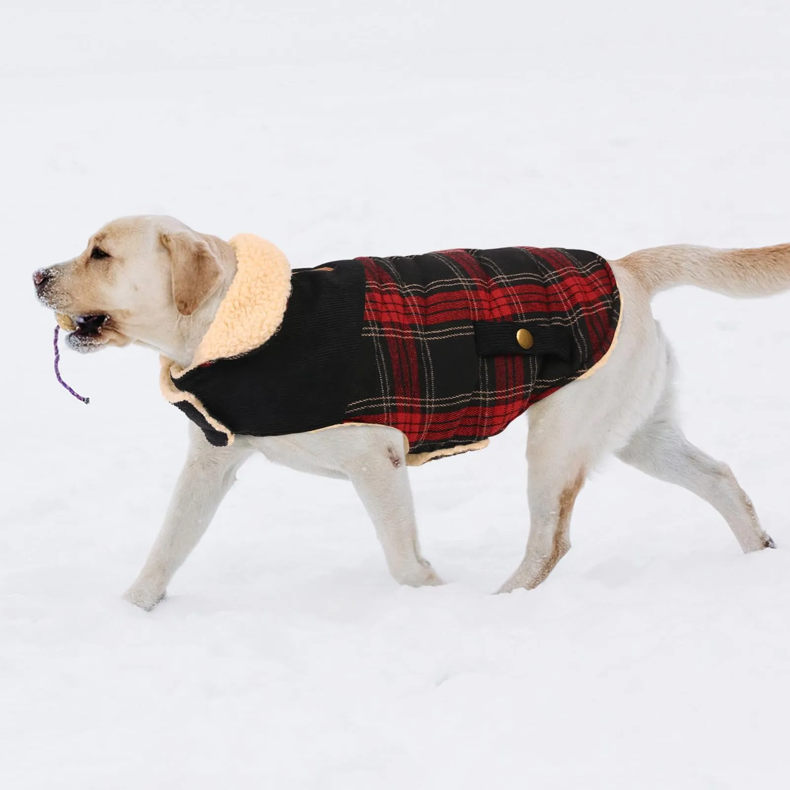 CITÉTOILE Cappotto Invernale per Cani in Lana Spessa Rosso L - immagine 7