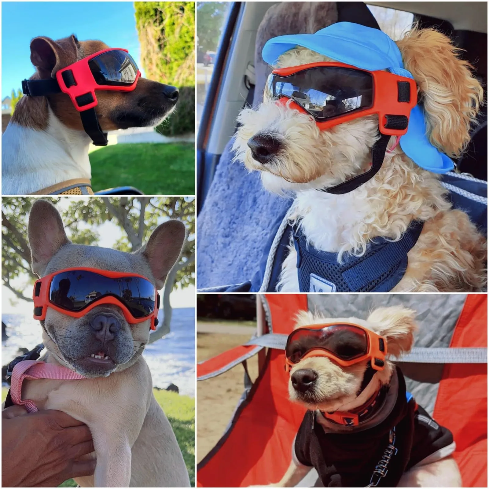 Enjoying Occhiali per Cani di Piccola Taglia con Protezione UV per Cuccioli, Occhiali da Sole Antivento per Animali Domestici, Protezione per Occhi di Pecorino, Arancione - immagine 2
