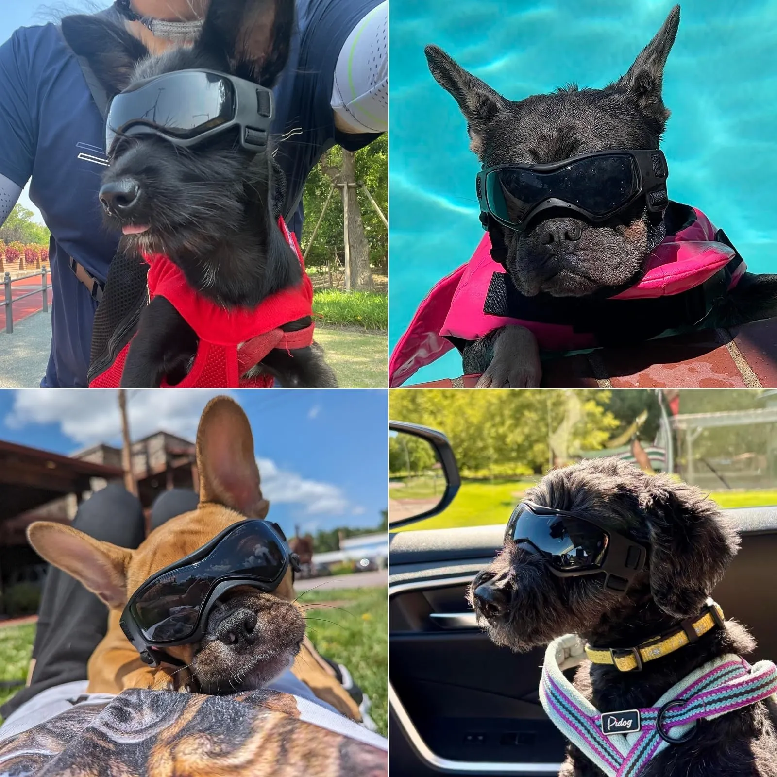 Enjoying Occhiali per Cani di Piccola Taglia con Protezione UV per Cuccioli, Occhiali da Sole Antivento per Animali Domestici, Protezione per Occhi di Pecorino, Nero - immagine 2