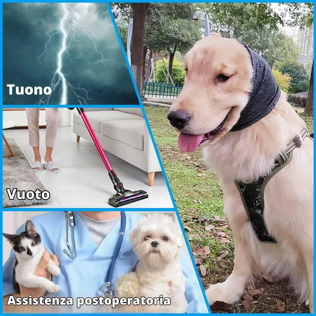 Pattepoint - Paraorecchie per cane da compagnia, sollievo dall'ansia e calma in un luogo rumoroso, Snood per orecchie per cani, scaldamani e orecchie di cane, colore: grigio L - immagine 3