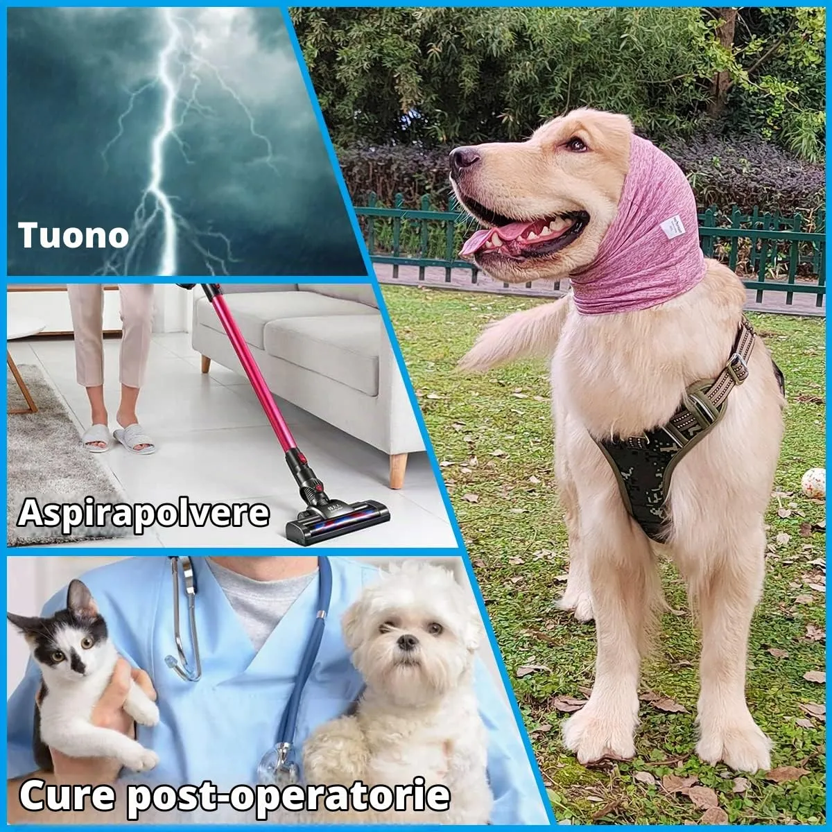 Pattepoint - Paraorecchie per cani piccoli, per alleviare l'ansia e calma in un luogo rumoroso, Snood per orecchie per cani piccoli, scaldamani e orecchie di cane, colore: Rosa M - immagine 3