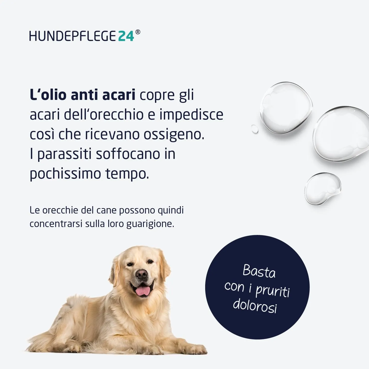 Hundepflege24 Olio Anti Acari Auricolari per Cani, Gatti & Animali da Compagnia - 50ml - 100% Trattamento Naturale & Vegano per la Cura dell'orecchio, Contro prurito, infestazioni fungine & da Acari - immagine 3
