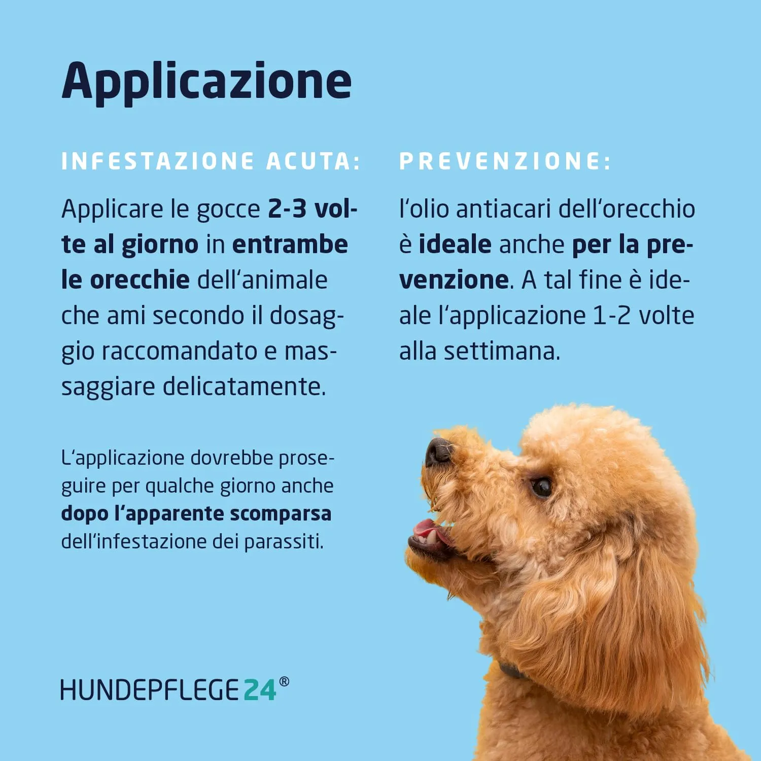 Hundepflege24 Olio Anti Acari Auricolari per Cani, Gatti & Animali da Compagnia - 50ml - 100% Trattamento Naturale & Vegano per la Cura dell'orecchio, Contro prurito, infestazioni fungine & da Acari - immagine 4