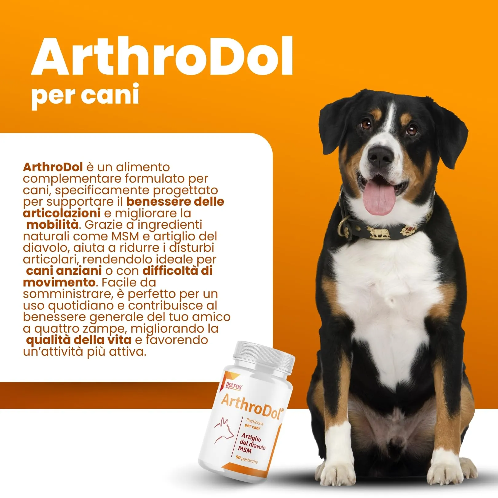 Dolfos Pets ArthroDol Integratore Articolazioni Cane, Antinfiammatorio e Analgesico Favorisce la Mobilità dei Cani Anziani 100% Naturale 90 Compresse - immagine 3