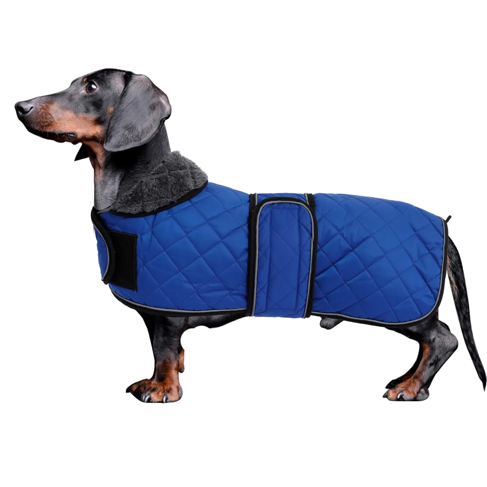 Morezi - Cappotto invernale per cani da bassotto - Maglione impermeabile per cani con fodera in lana e cinghie regolabili, caldo cappotto invernale per cani di taglia piccola all'aperto - Navy - XS - immagine 1