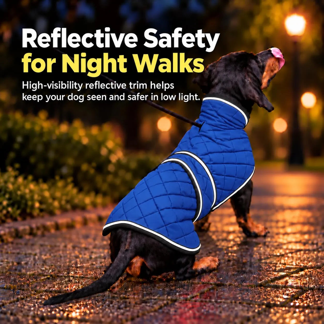 Morezi - Cappotto invernale per cani da bassotto - Maglione impermeabile per cani con fodera in lana e cinghie regolabili, caldo cappotto invernale per cani di taglia piccola all'aperto - Navy - XS - immagine 4